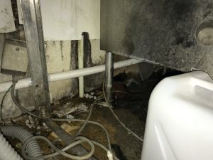漏水.net | rousui.net | 東京の漏水調査 | 厨房内に配管後それぞれ給湯設備に接続4