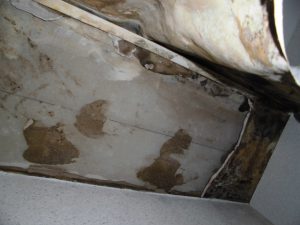 漏水.net | rousui.net | 東京の漏水調査 | 天井の状況1