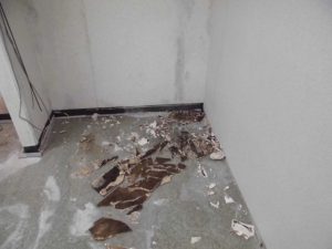 漏水.net | rousui.net | 東京の漏水調査 | 壁紙がめくれて床に天井のボードが散乱2