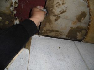漏水.net | rousui.net | 東京の漏水調査 | 天井内3