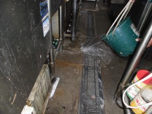 漏水.net | rousui.net | 東京の漏水調査 | 漏水調査液を撒く3